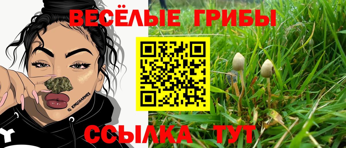 Псилоцибиновые грибы Magic Shrooms  Вход с VPN  Галлюциногенные грибы Psilocybe  Ачхой-Мартан 